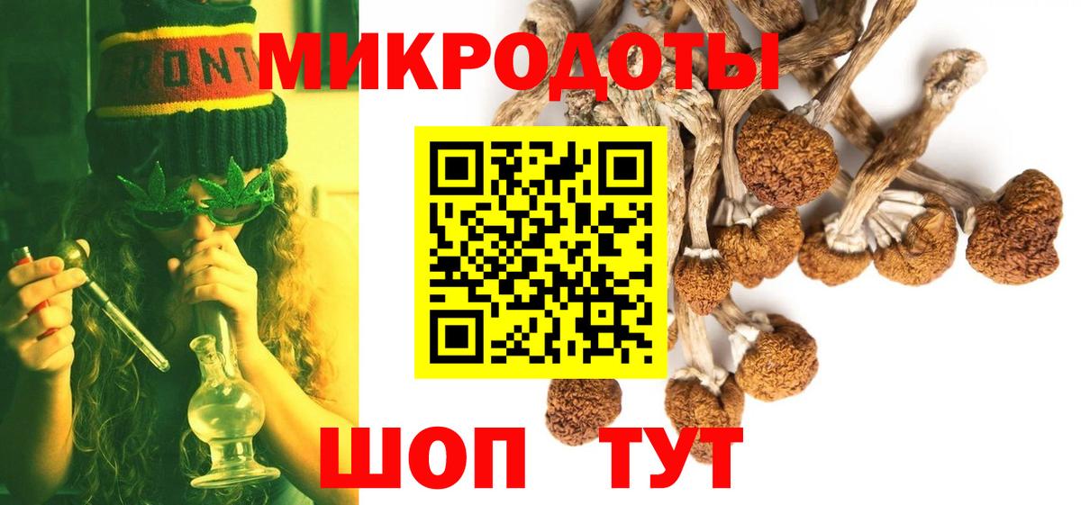 Галлюциногенные грибы Psilocybe Коряжма