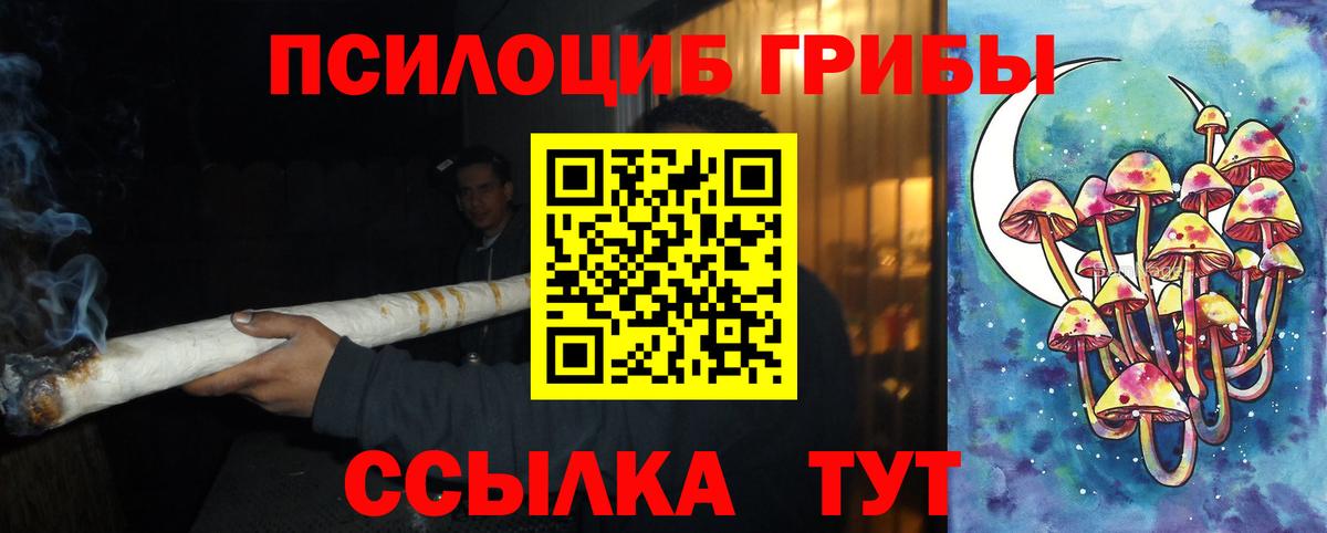 Коряжма  Псилоцибиновые грибы прущие грибы  где купить   Вход с VPN 